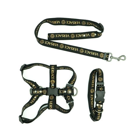 dog collar versace|versace dog bed.